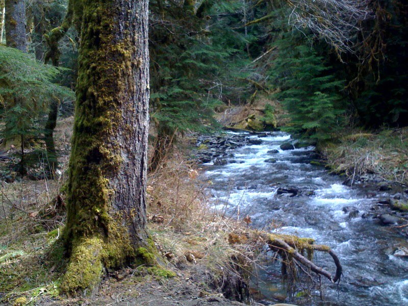 Elwha River.