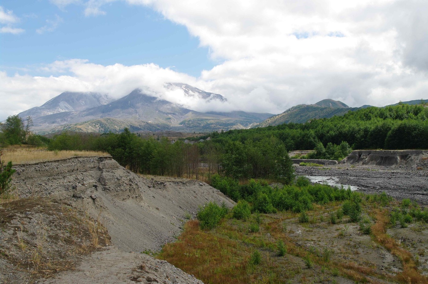 Mt. St. Helens from Hummocks Trail (Steve Payne)