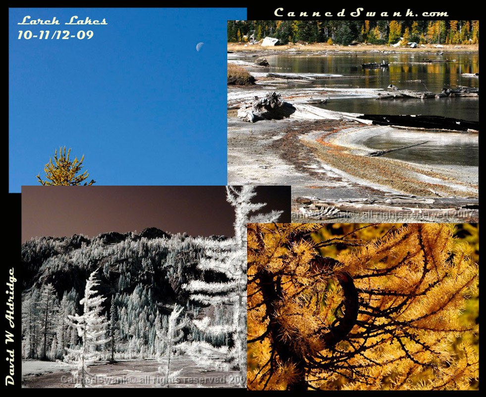 Larch lakes Oct 2009 (C) CannedSwank.com David W Aldridge