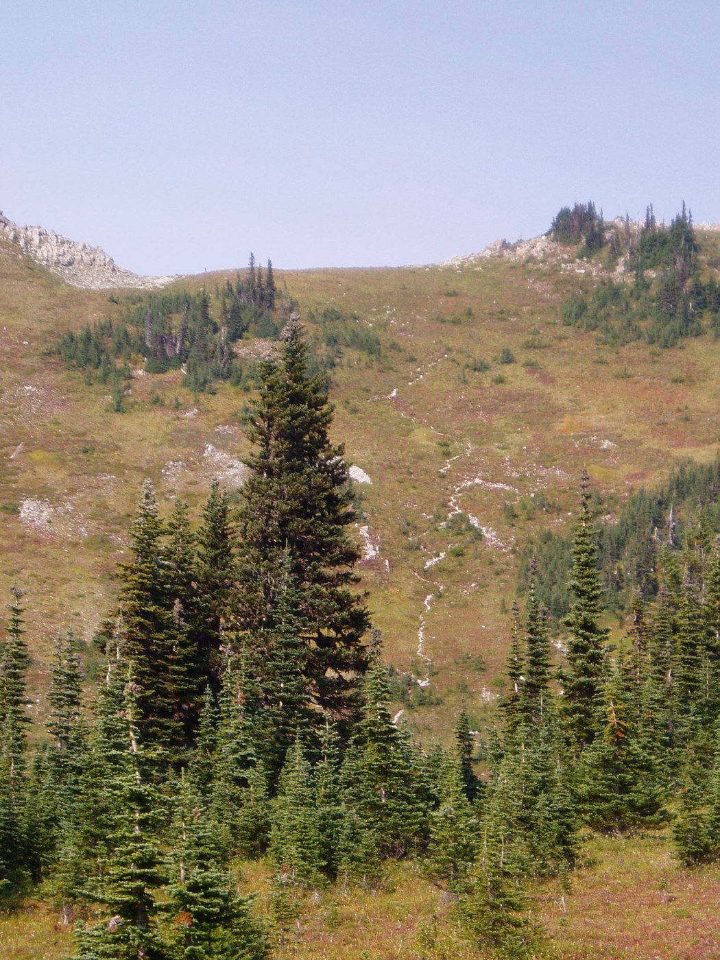 Climbers path up to saddle & Hessong Rock