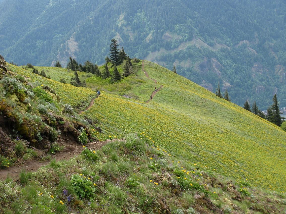 Trail from near summit