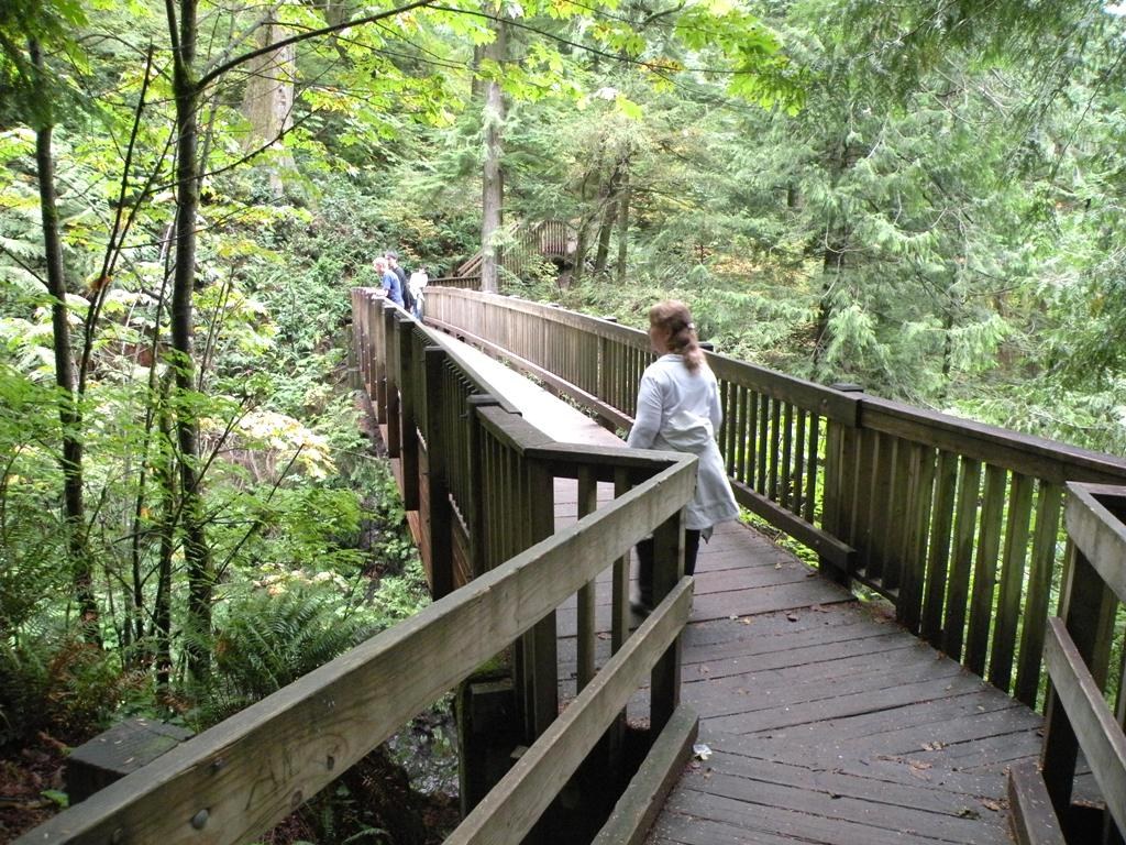 Bridge over upper falls - Michael J. O'Connell