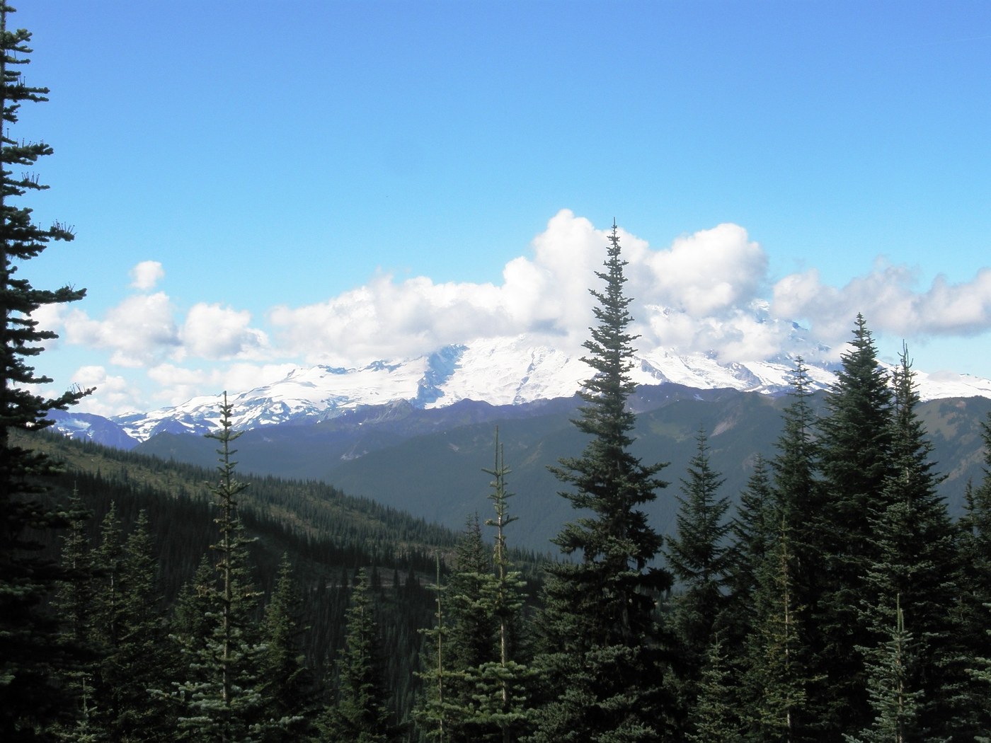 Sadly, Rainier had a hat on all day and never came out in full glory.
