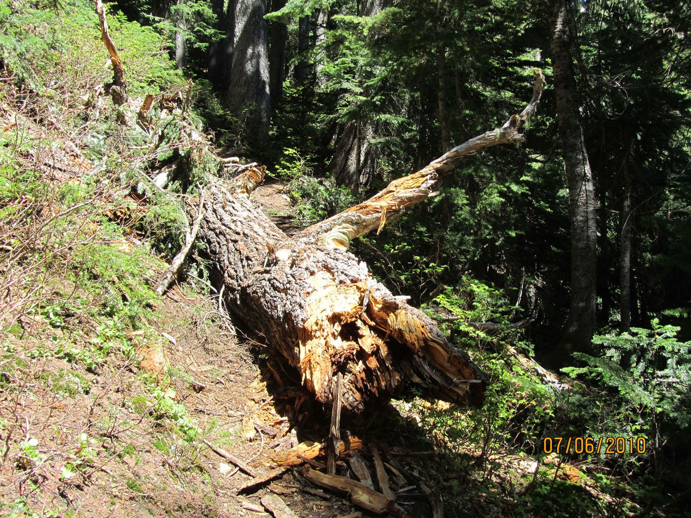 Blowdown #3