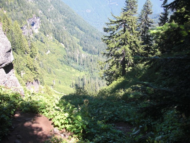 View from Ipsut Pass.