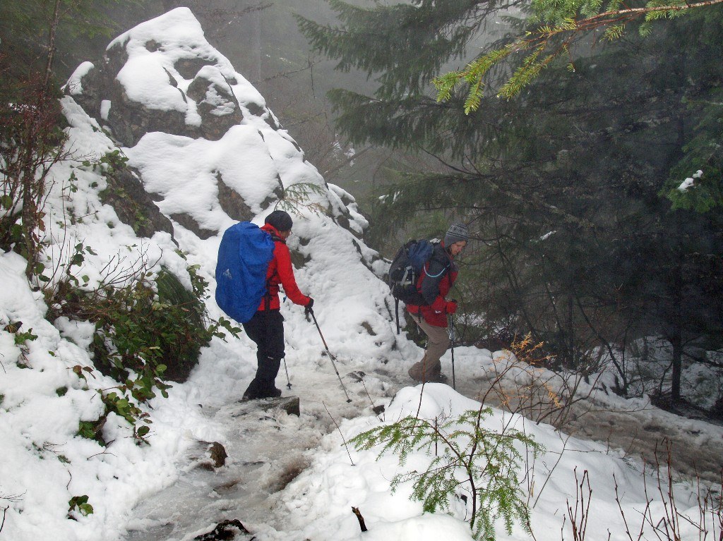 Descent in the snow and fog J Brink