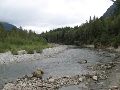 Middle Fork