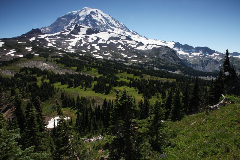 Rainier