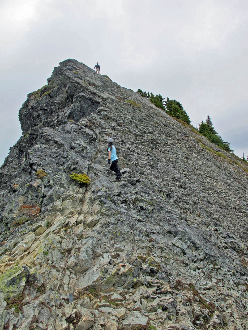 Starting the Ascent, by Karen Portin