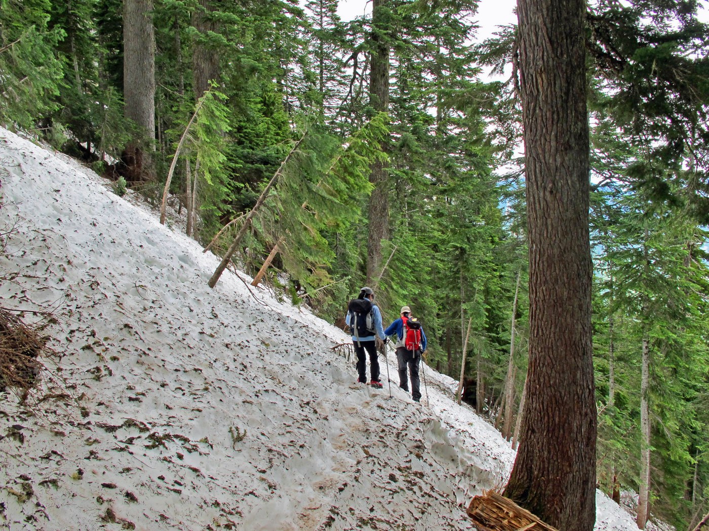 Snowy Trail, by Karen Portin