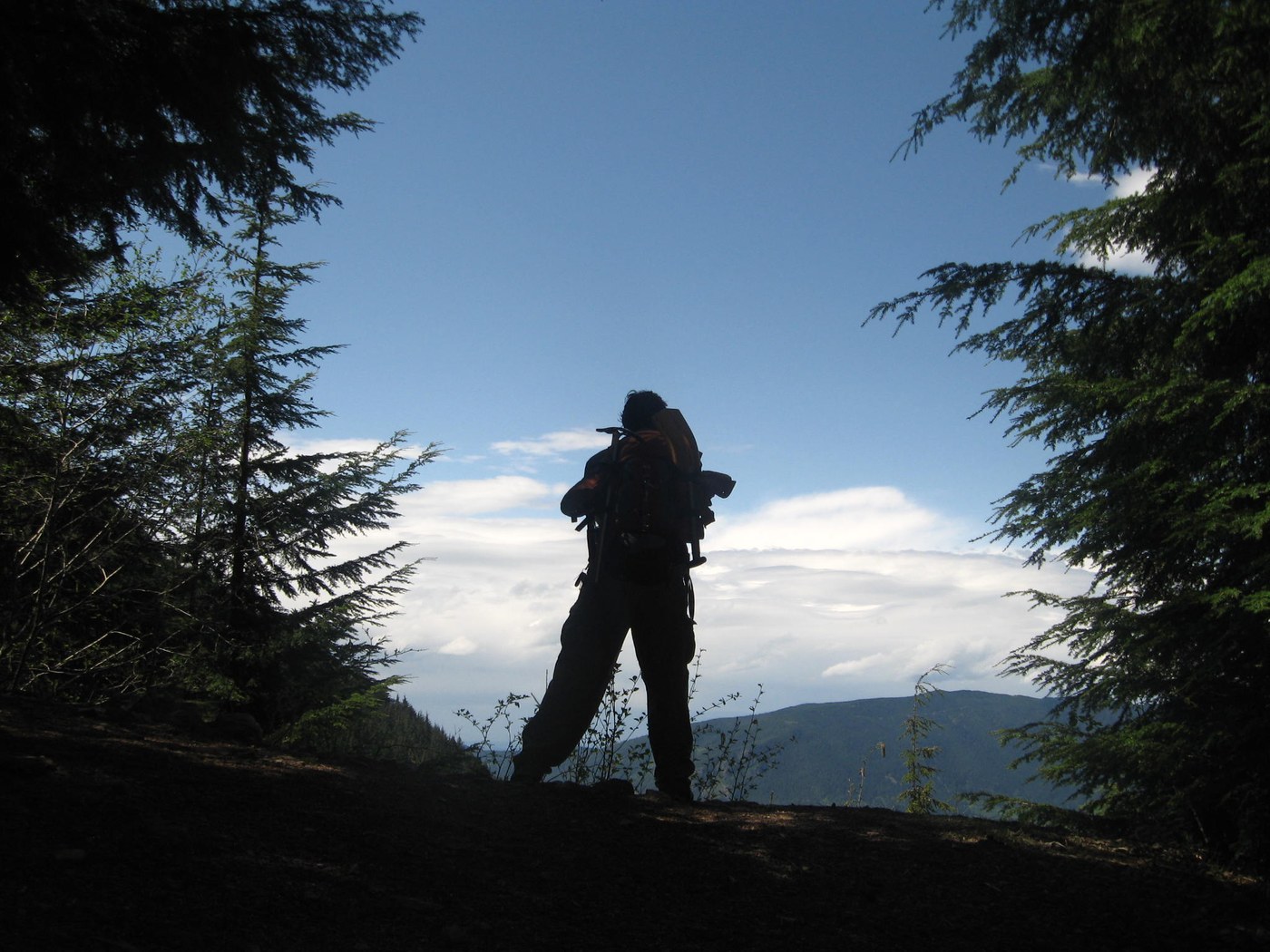 Hike Owl,elevation 2800foot,distance from parking lot 1.6 mille