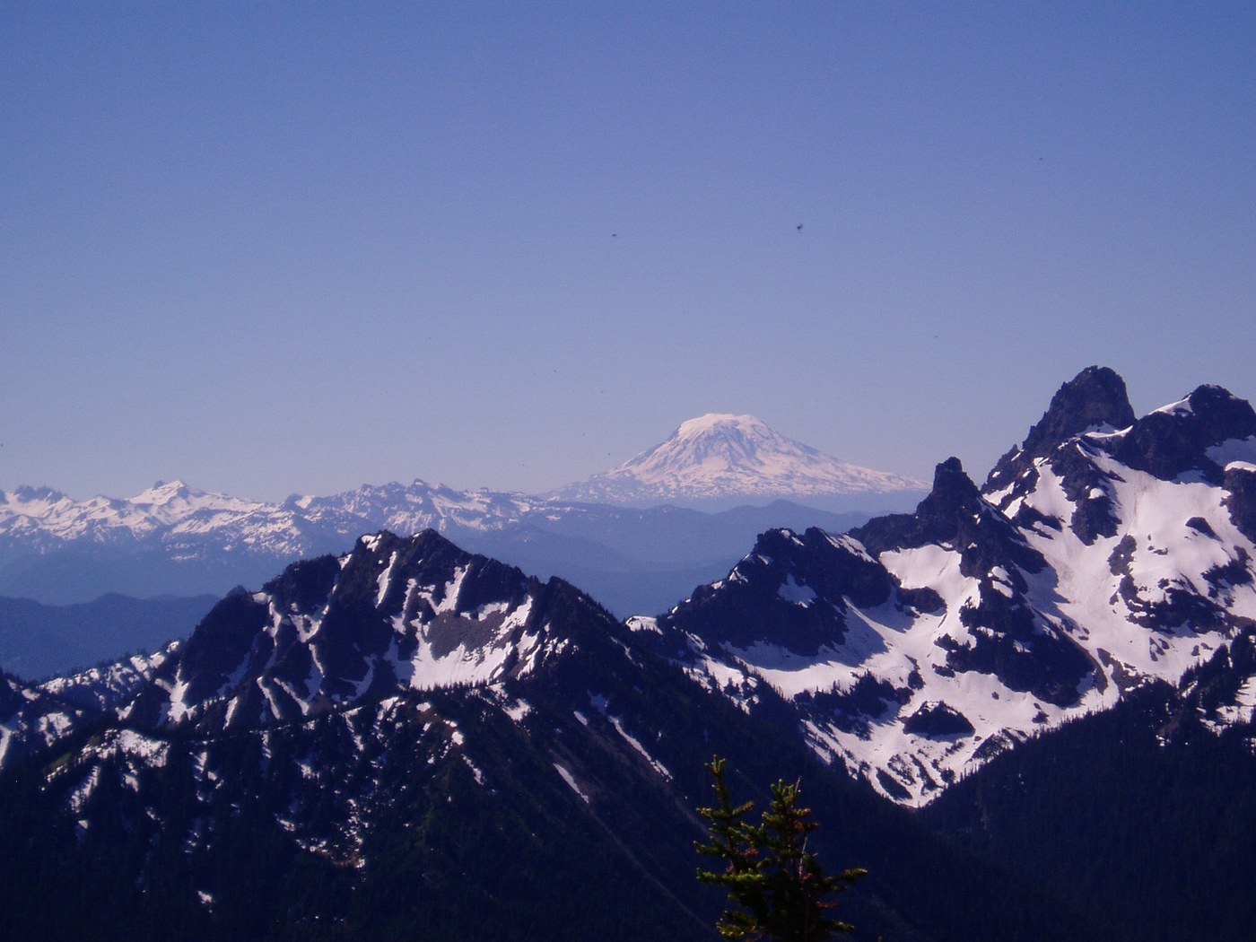 Mt Adams from Dege Peak summit