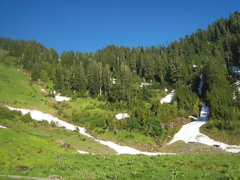 meadows above Lake Sundown