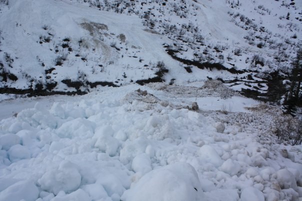Avalanche debris field from up the side of the valley. There was evidence of several avalanches, the last one was AFTER the last snow fall.