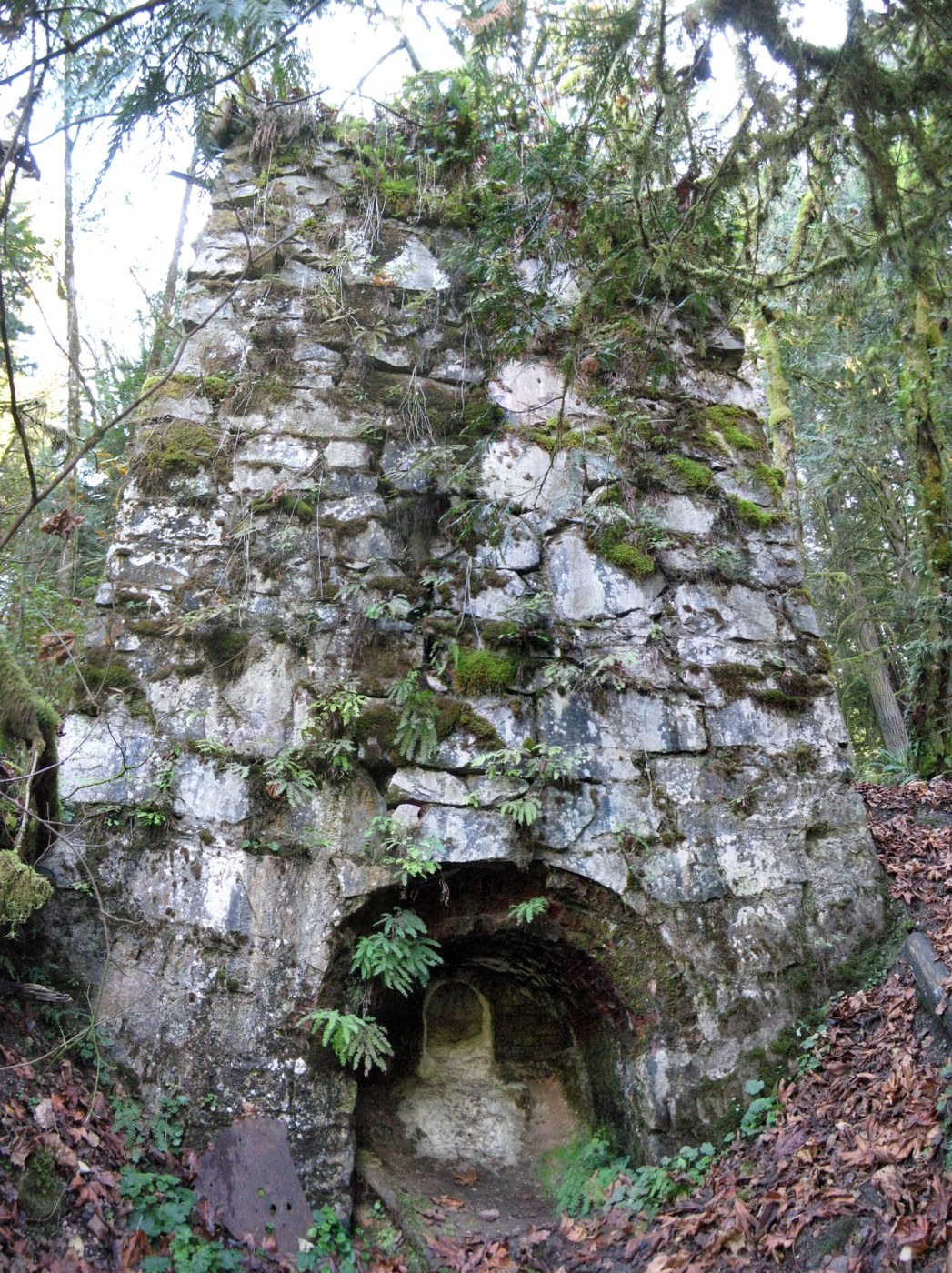 I made this composite of the kiln from nine individual pictures taken at the base of the kiln. The program used was Microsoft Image Composite Editor (ICE) and is free for download. Photo - ShroomMonkey
