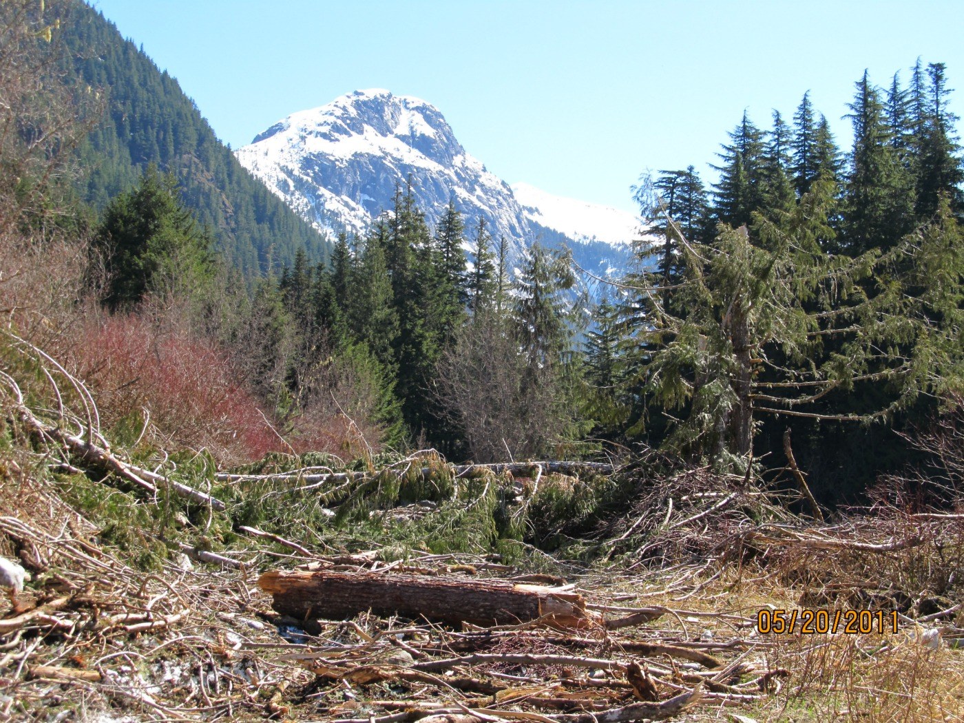 Avalanche at 1.5 miles past Goat Mtn. trailhead