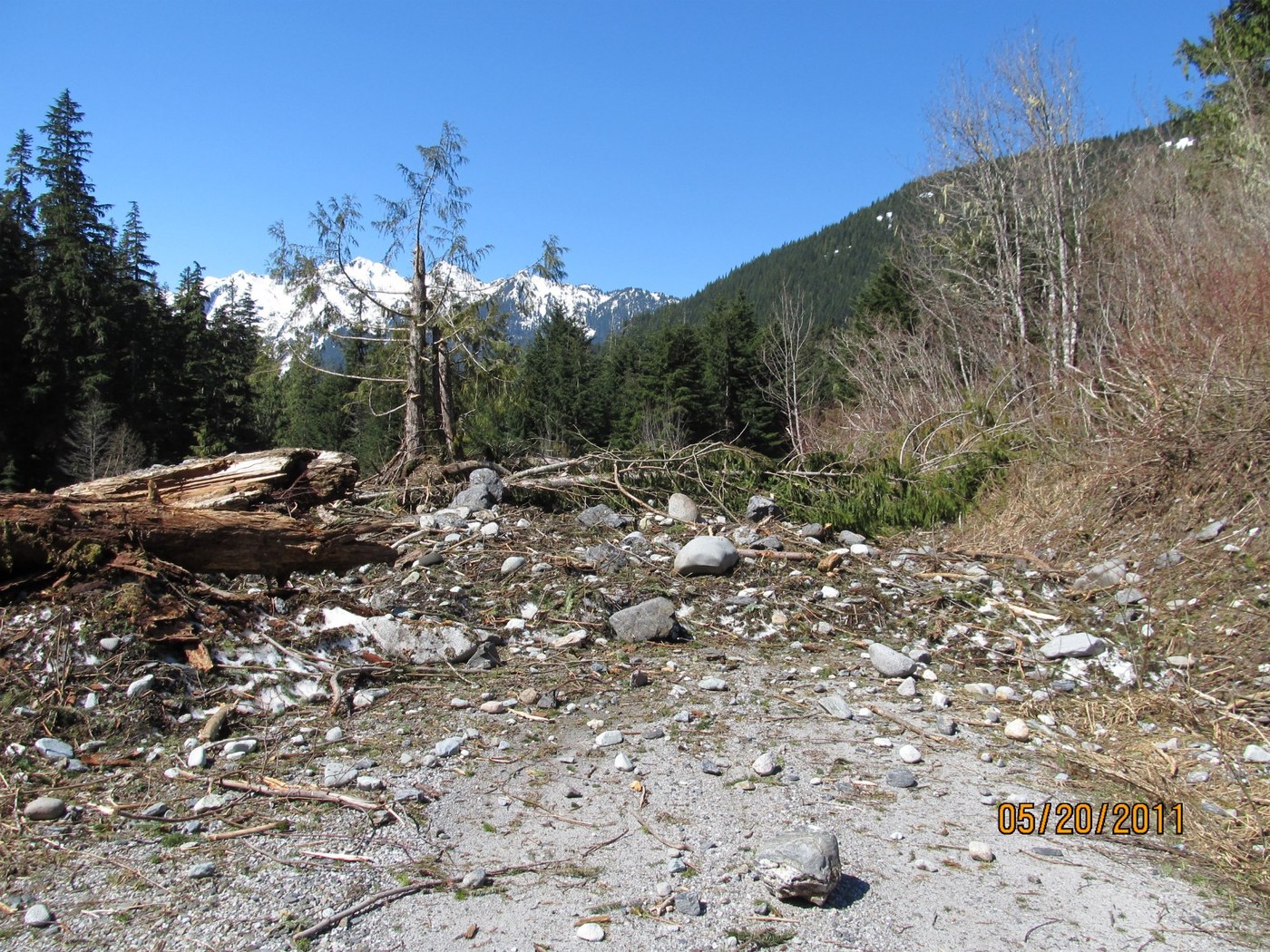 Avalanche at 1.5 miles past Goat Mtn. trailhead