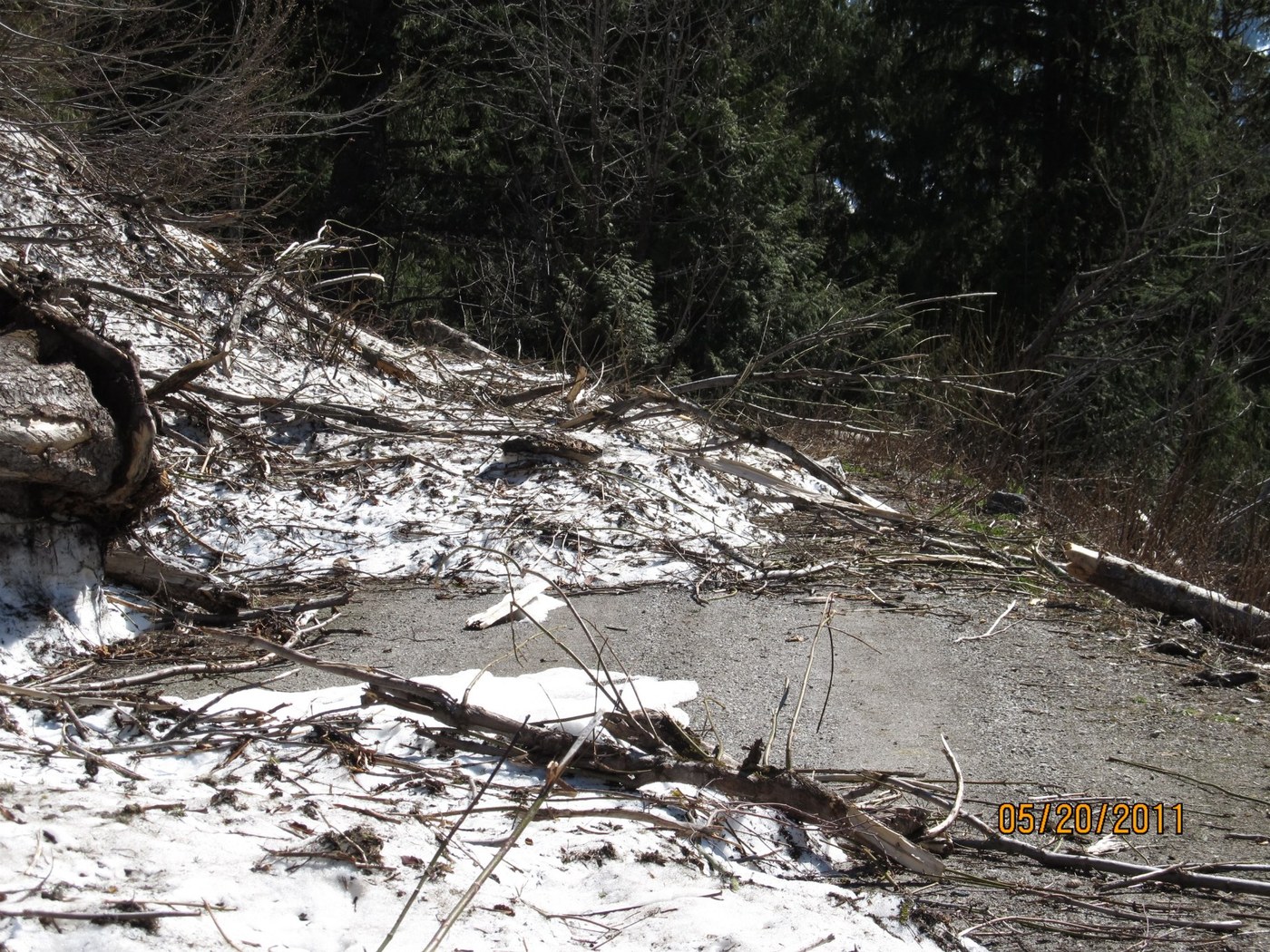 Avalanche at 2 miles past Goat Mtn. trailhead