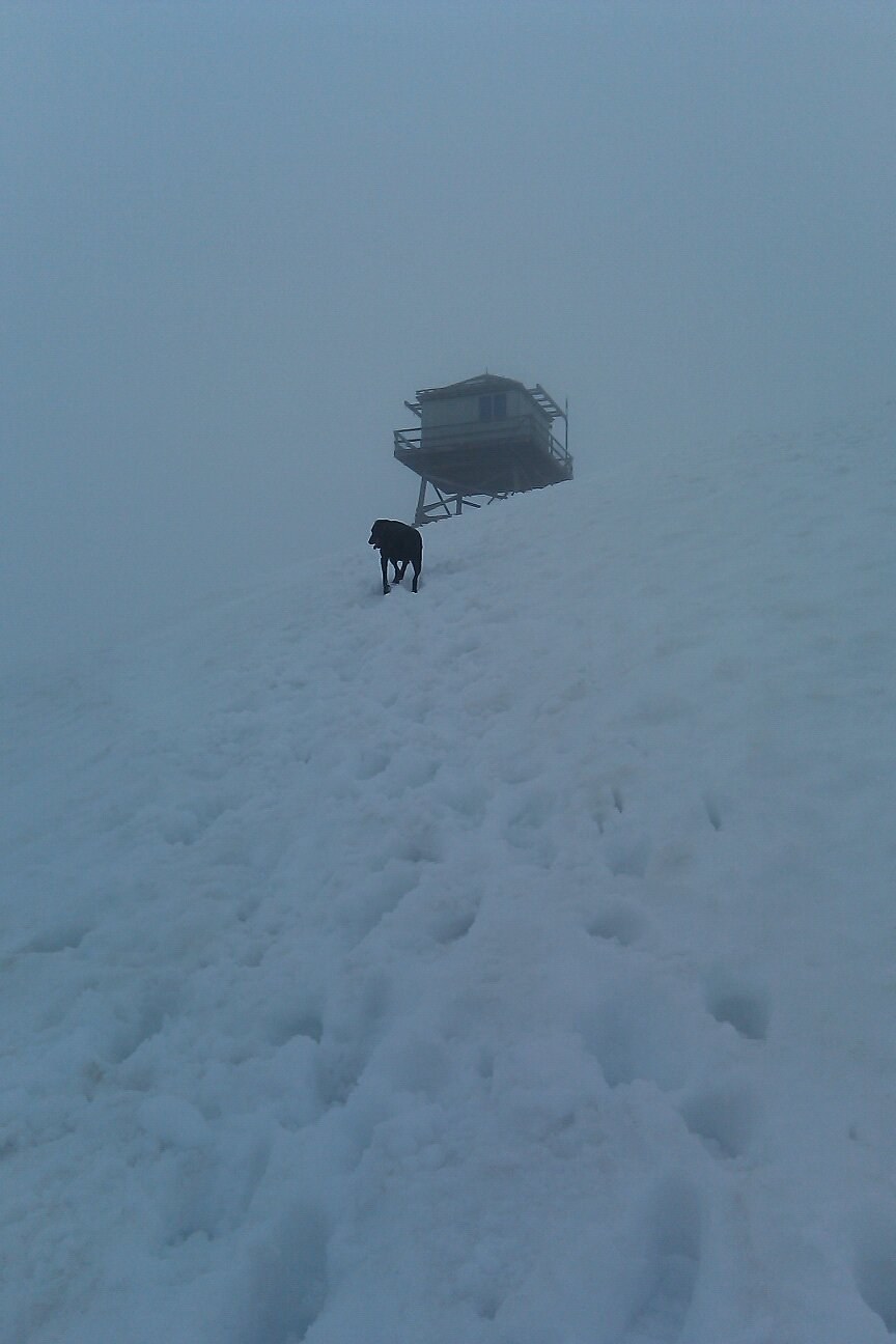 The lookout in the fog, with Clyde the Dog leading the way