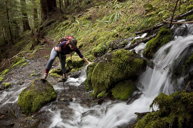 Decent stream crossings on the trail.