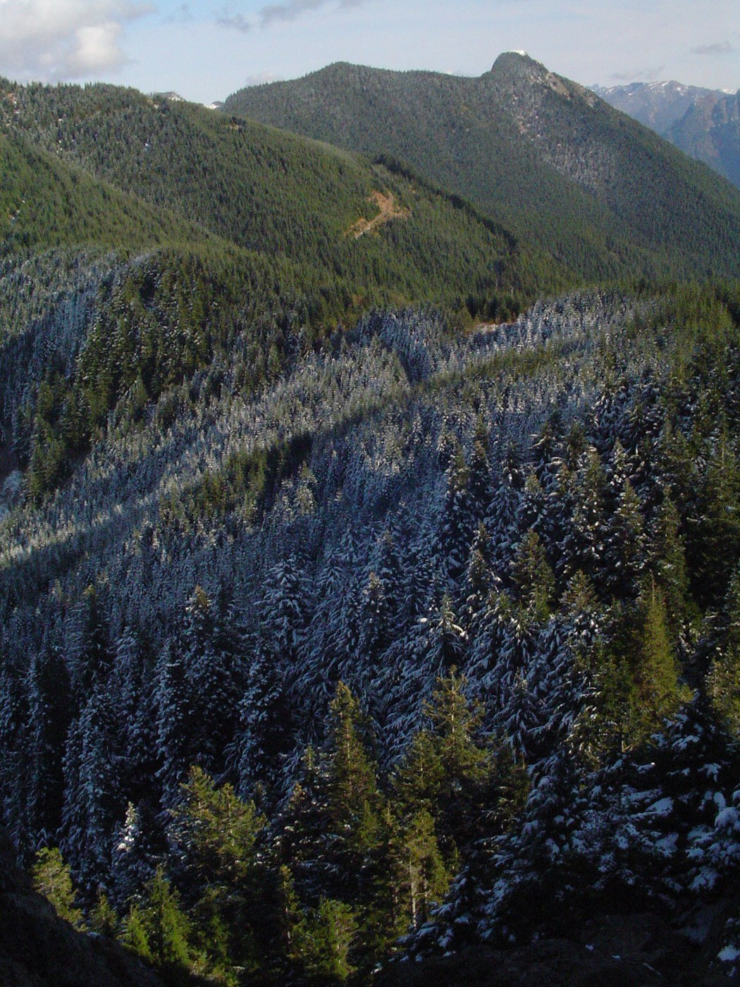 Looking out towards Mt. Teneriffe by B.Goebel