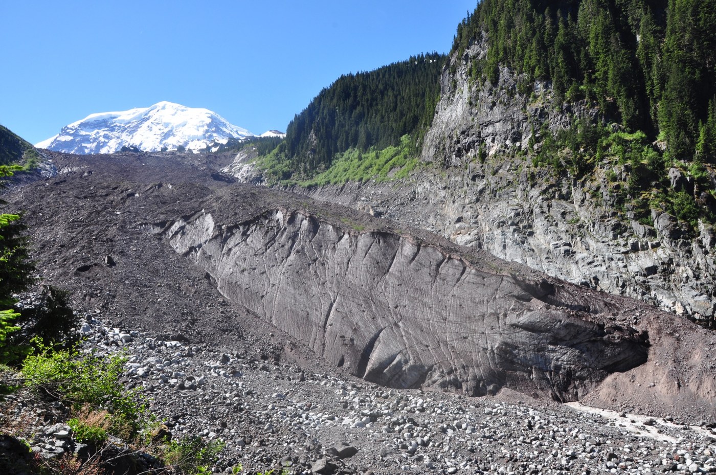 Carbon Glacier and Mt. Rainier