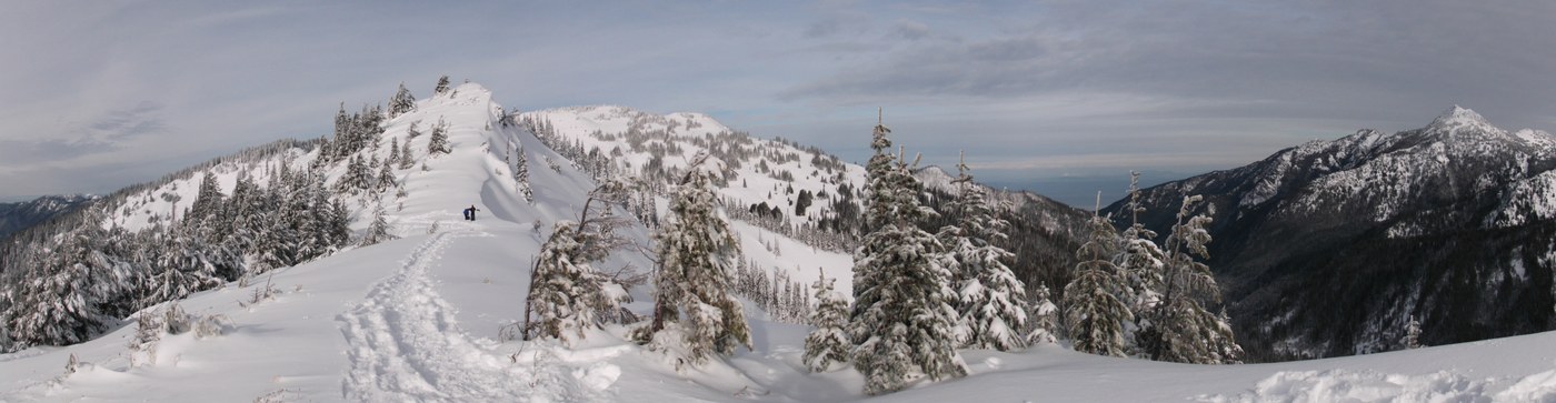 Panaramic View of Hurricane Ridge in Olympic National Park