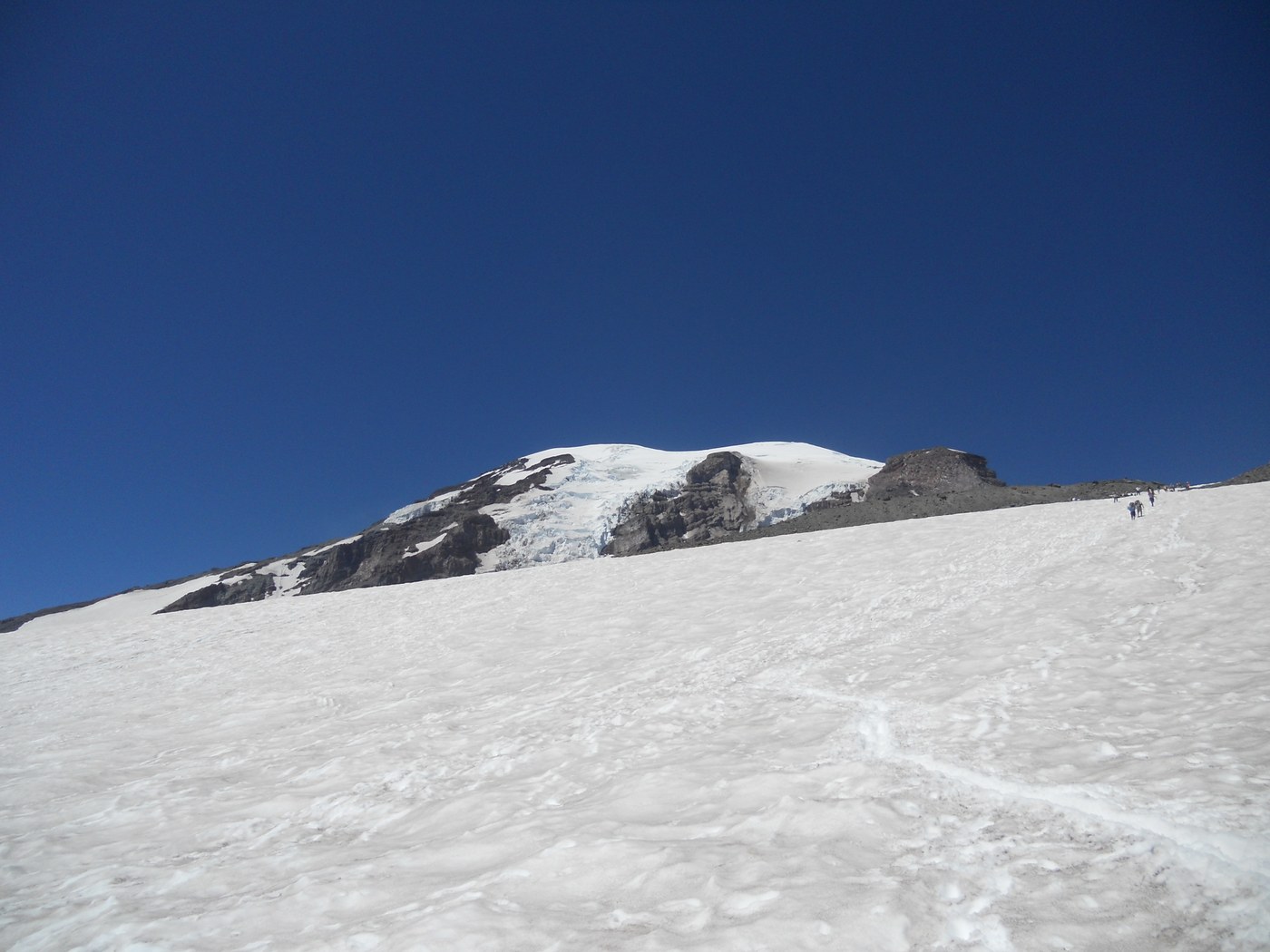 Muir snowfield