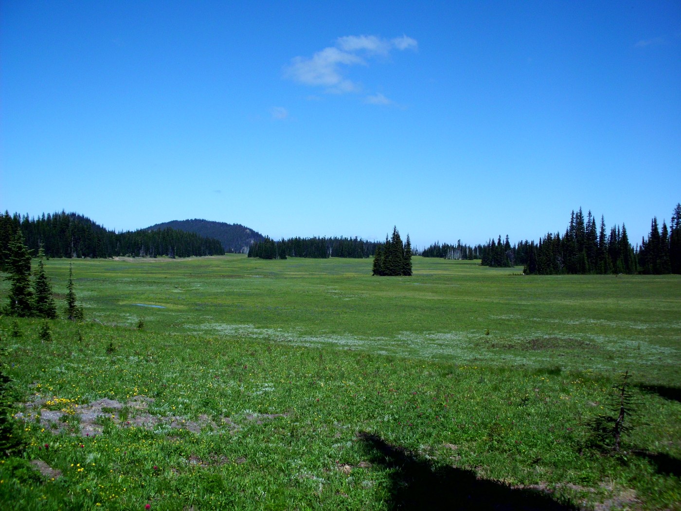 Grand Park