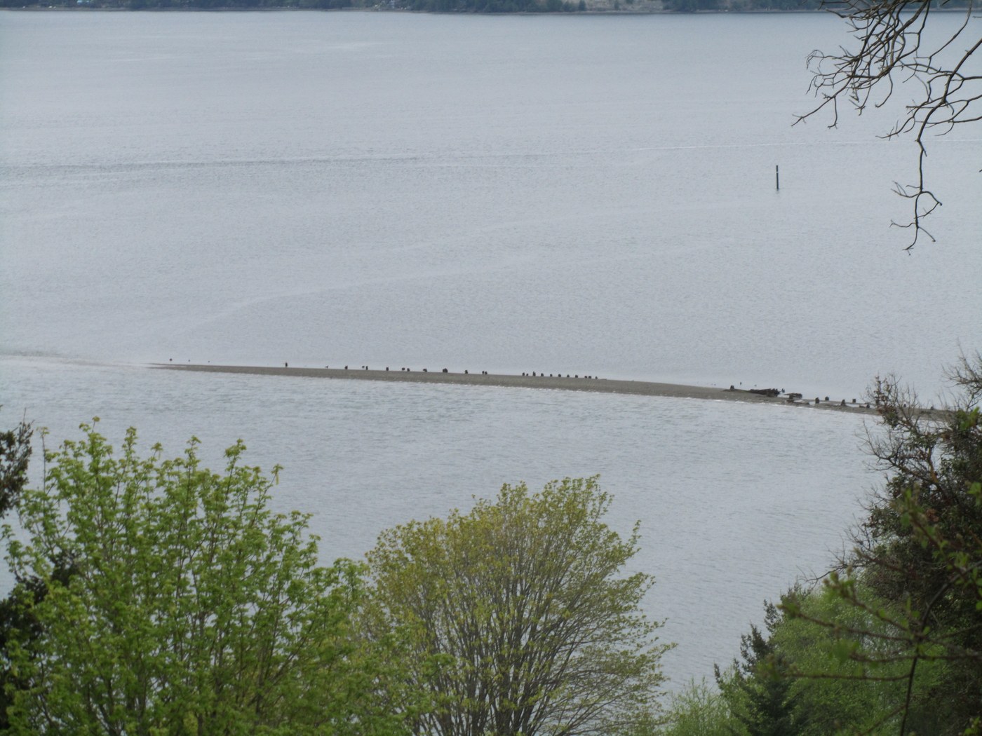 view of sandbar from up on bluff