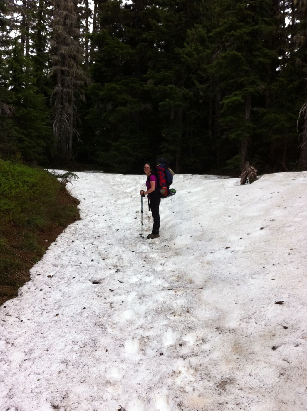 Snow on Appleton Pass Trail