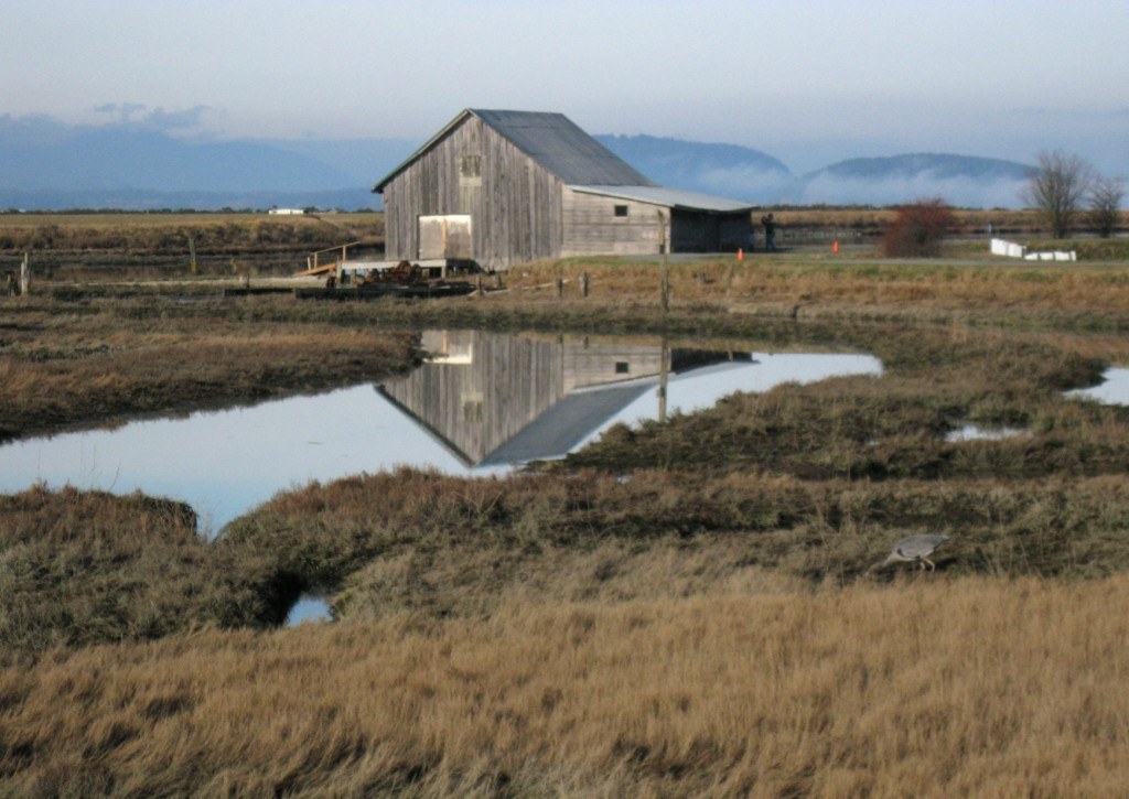 old barn (heron in RH corner)