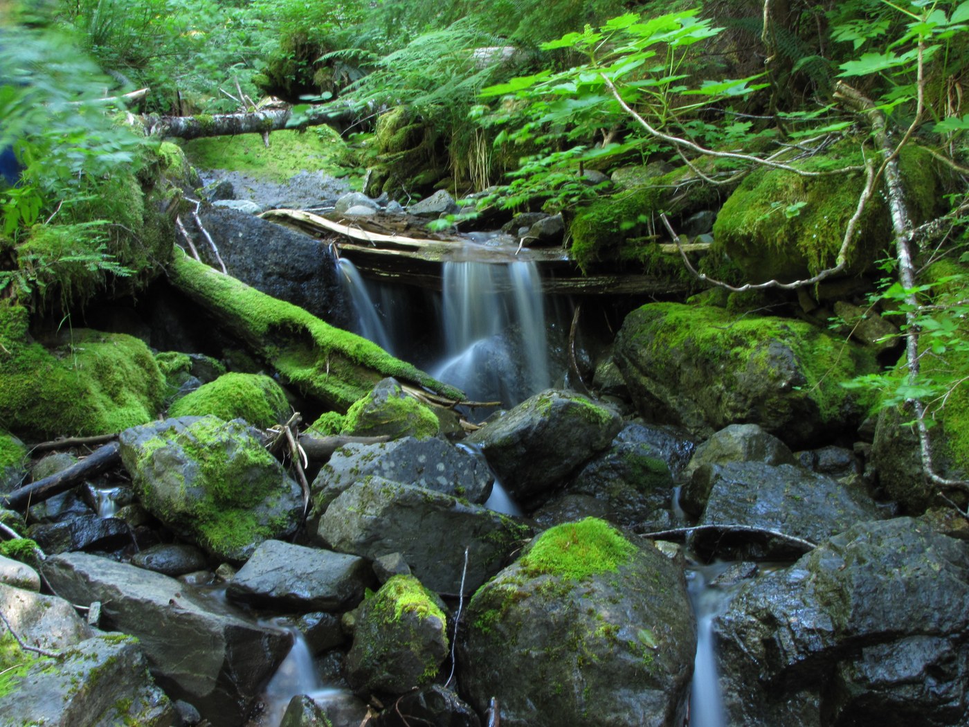 lower portion of a creekfalls 2 miles (end of the trail that could find)