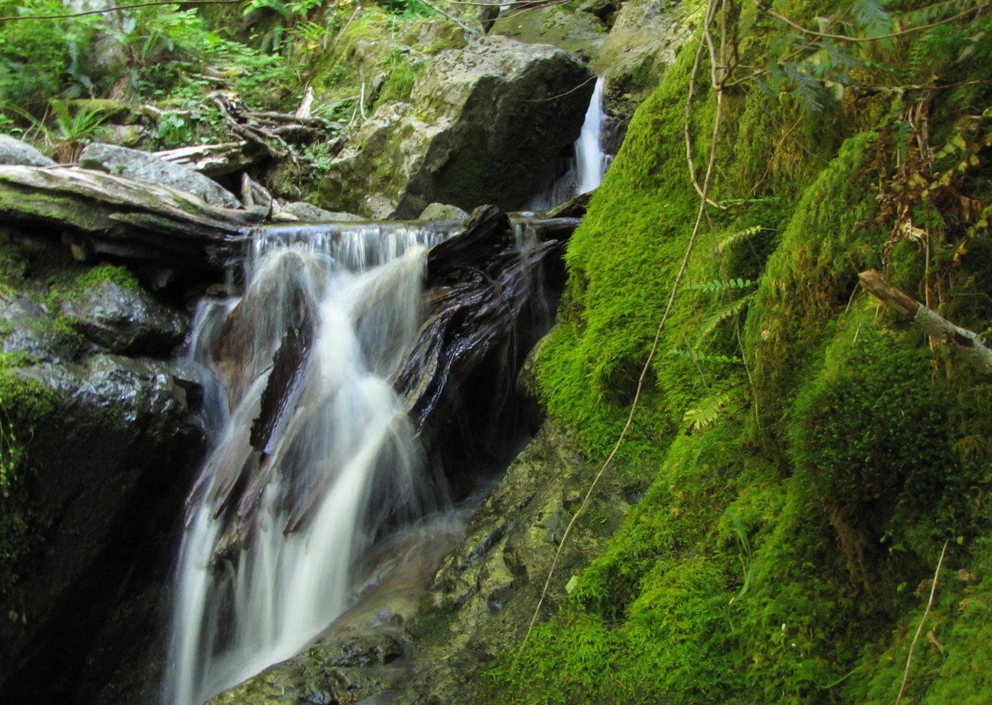 Unnamed Falls 2 miles at the end of the trail