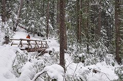 Meg on bridge near Lower Lena Lake
