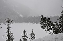 Lower Lena in the snow.