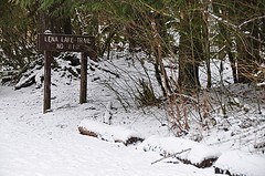 Snowy trail just past registration kiosk.