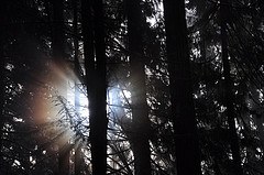 Proof that the sun was TRYING to come out.