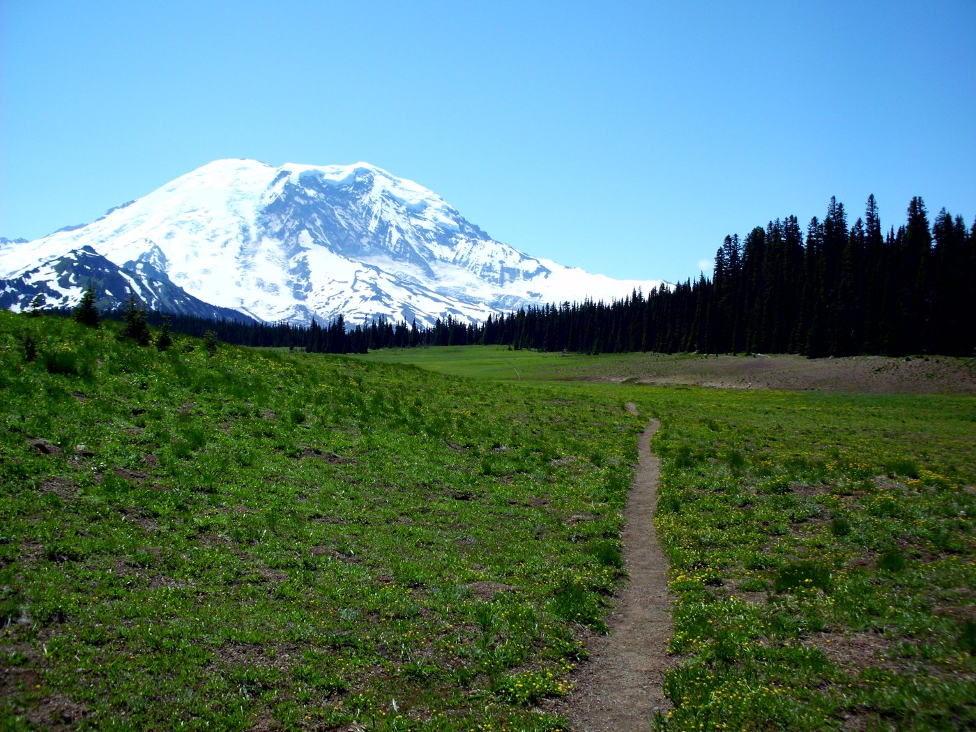 A view of Mt Rainier from the Lake Eleanor Trail.