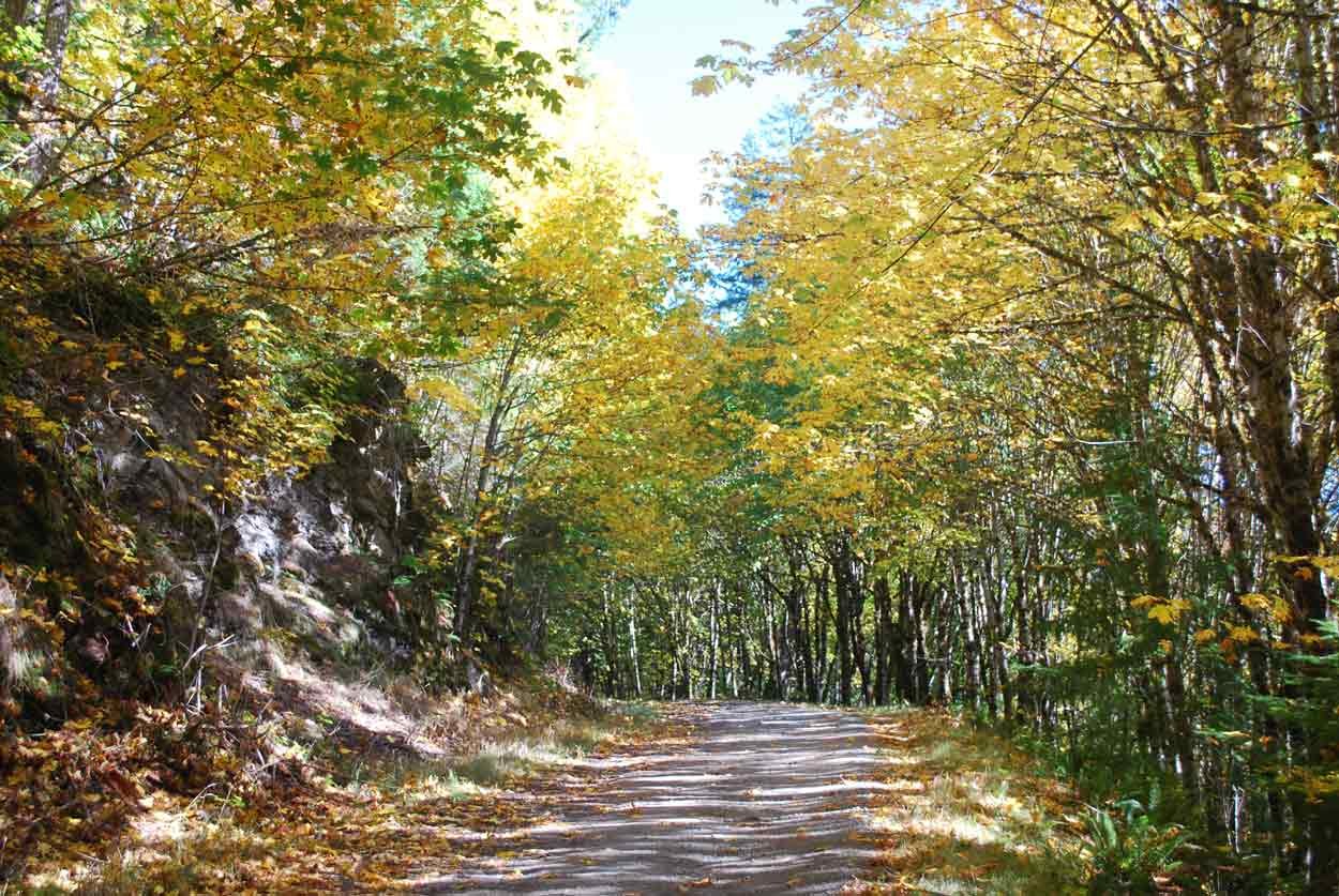 On the road to Lake Christine trailhead.