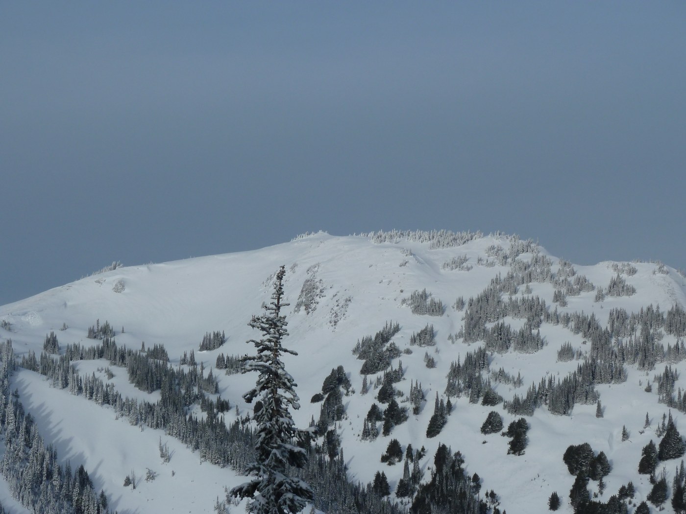 Hurricane Hill up close along the trail