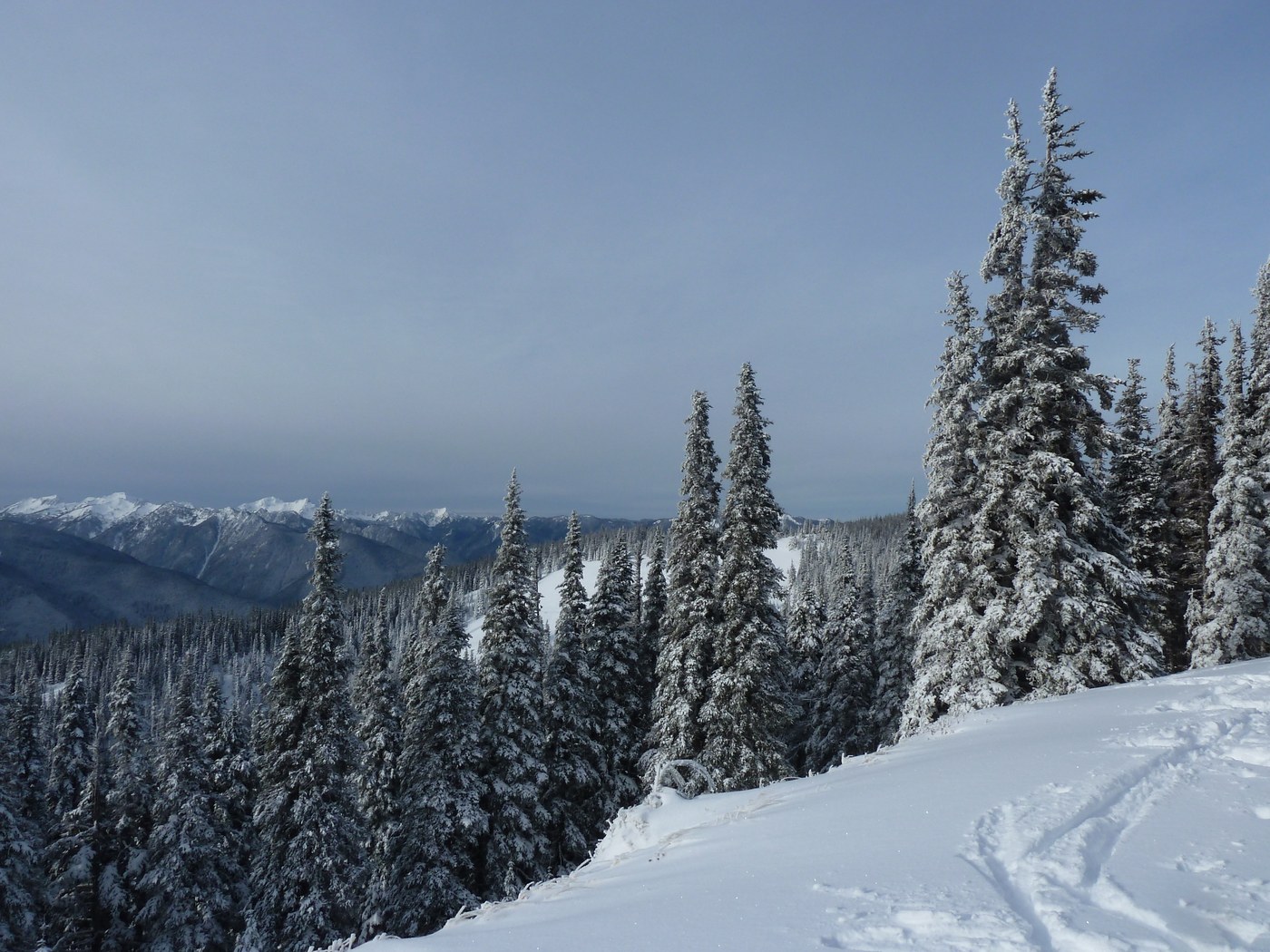View of the Olympic National Park along Hurricane Ridge