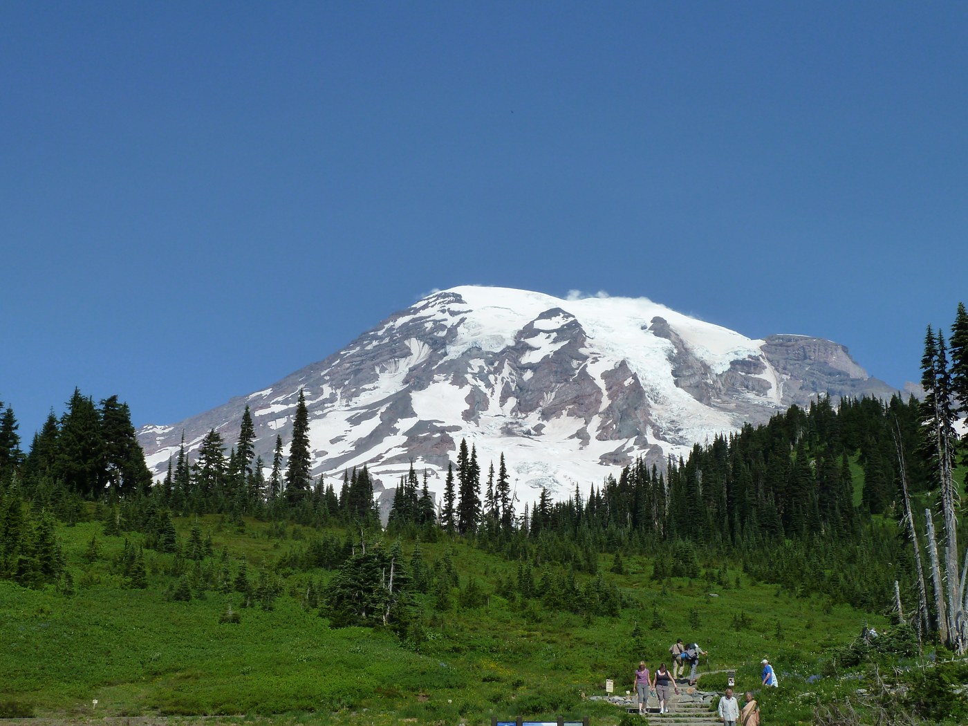 The meadows of Paradise and a gorgeous Mt. Rainier. Photo by sweetgreen.