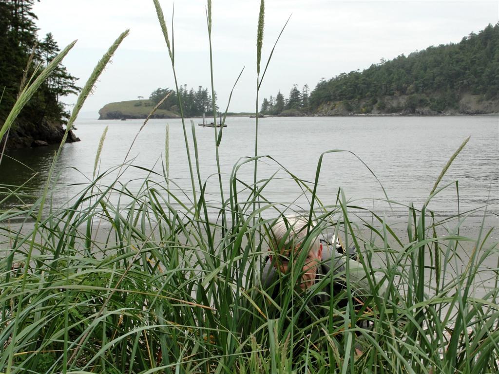 Rosario Head across Bowman Bay.
