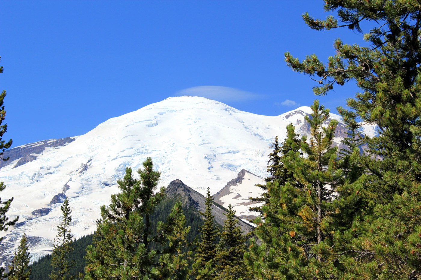 Mt. Rainier from the Emmons Moraine trail.