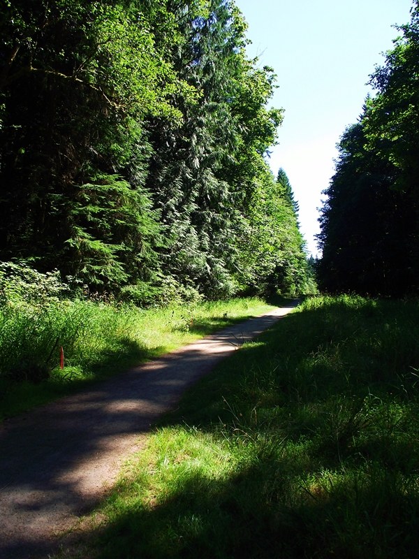 View along the Pipeline Trail.