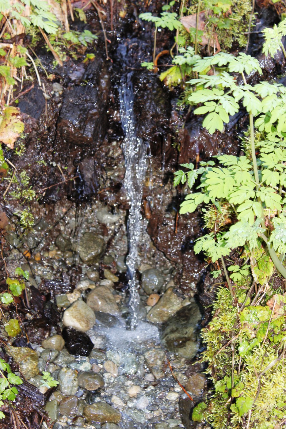 Fairy Waterfall