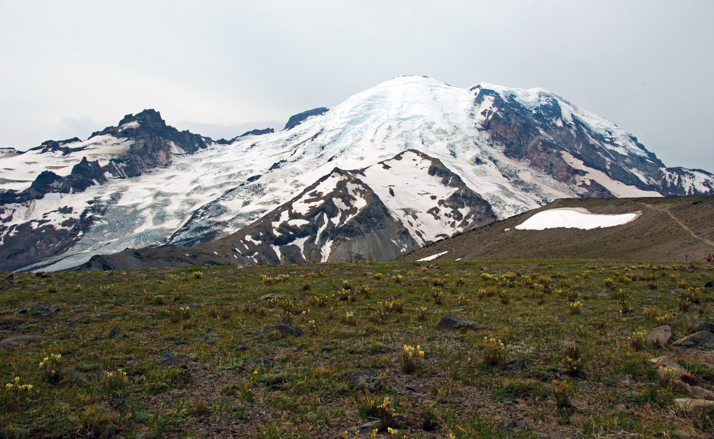 The view of The Mountain from Sunrise.