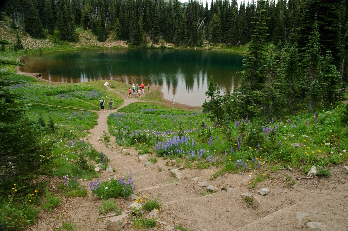 Shadow Lake