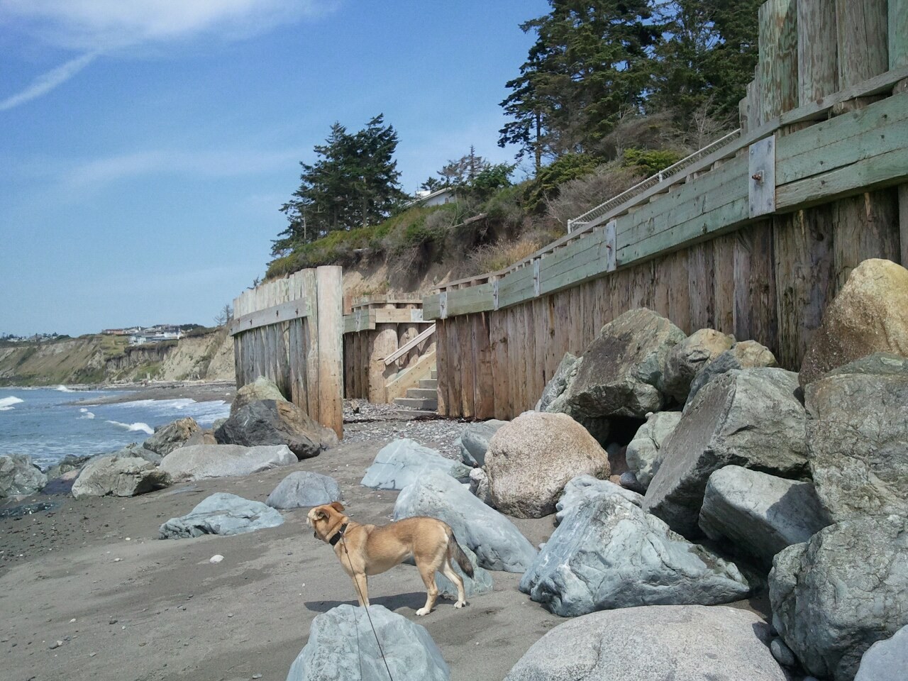Stairs up to Libbey Beach Park at Libbey Beach. By R. Roberts